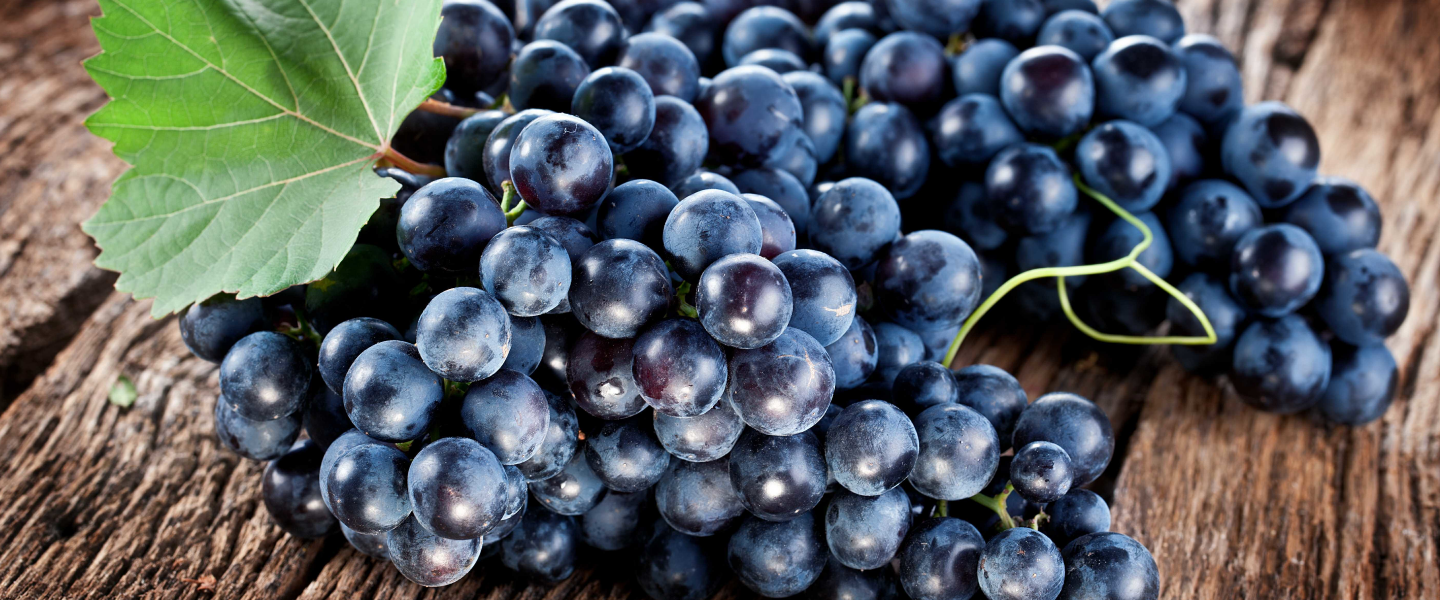 Vinagre de Vino Tinto Sin Conservantes 